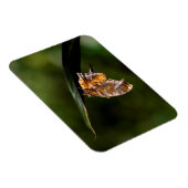 Vragenmerk vlinder magneet (Rechterzijde)