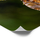 Vragenmerk vlinder poster (Hoek)