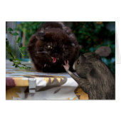 Vrede! (Voorkant Horizontaal)