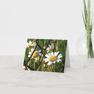 Vrede achter het hek. In bloemen illustratief. Bedankkaart