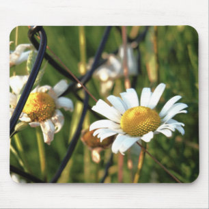 Vrede achter het hek. In bloemen illustratief. Muismat