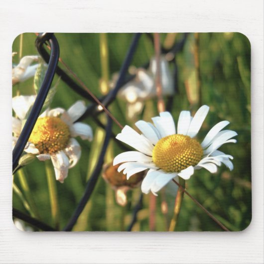 Vrede achter het hek. In bloemen illustratief. Muismat (Voorkant)