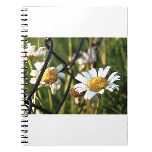 Vrede achter het hek. In bloemen illustratief. Notitieboek (Voorkant)