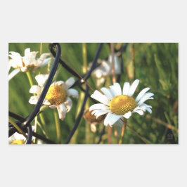 Vrede achter het hek. In bloemen illustratief. Rechthoekige Sticker