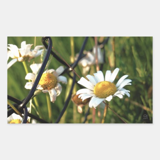 Vrede achter het hek. In bloemen illustratief. Rechthoekige Sticker (Voorkant)