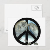 vrede beheren briefkaart (Voorkant / Achterkant)