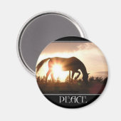 Vrede bij Sunset Magnet (Voorkant / Achterkant)