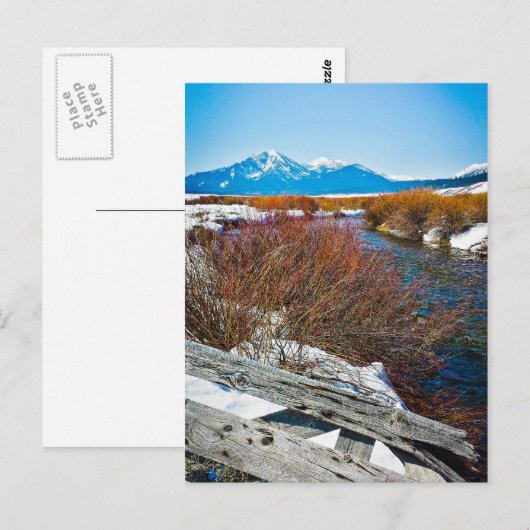 "Vrede" Briefkaart (Voorkant / Achterkant)