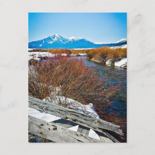 "Vrede" Briefkaart (Voorkant)