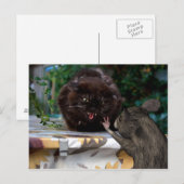 Vrede! Briefkaart (Voorkant / Achterkant)