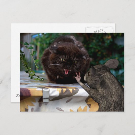 Vrede! Briefkaart (Voorkant / Achterkant)