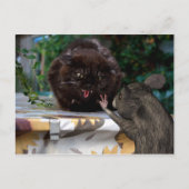 Vrede! Briefkaart (Voorkant)