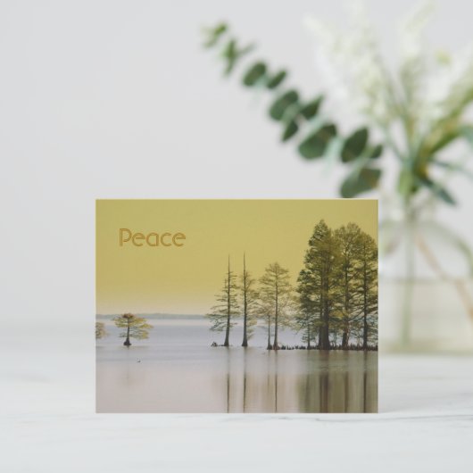 Vrede Briefkaart (Staand voorkant)