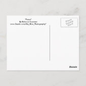 Vrede Briefkaart (Achterkant)