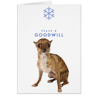 VREDE EN GOODWILL_1