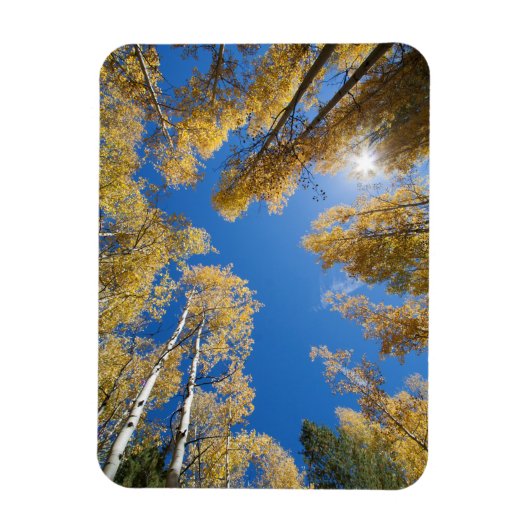 Vrede en sereniteit in de Aspen Magneet (Verticaal)
