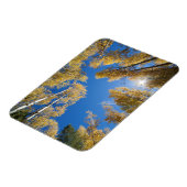 Vrede en sereniteit in de Aspen Magneet (Linkerzijde)