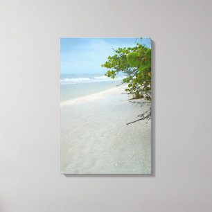 Vrede en stilte op het eiland Sanibel Canvas Afdruk