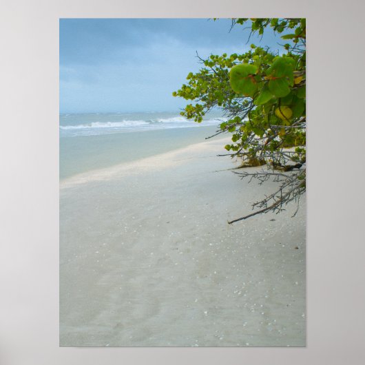 Vrede en stilte op het eiland Sanibel Poster (Voorkant)