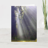 Vrede en vrede feestdagen kaart (Voorkant)