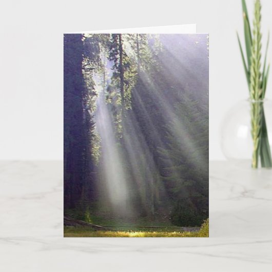 Vrede en vrede feestdagen kaart (Voorkant)