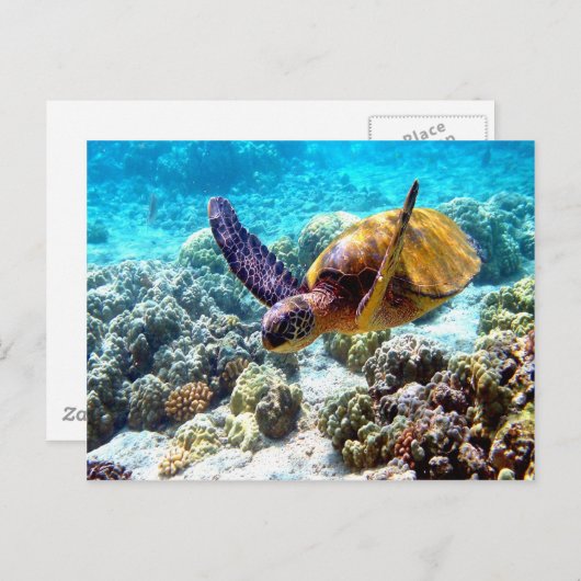 Vrede en vrede in Hawaï Briefkaart (Voorkant / Achterkant)