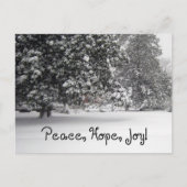 Vrede, hoop en vreugde feestdagenkaart (Voorkant)