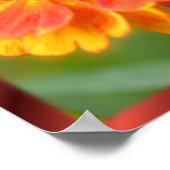 Vrede in Natuur Zinnia bloeit Inspirerend Poster (Hoek)