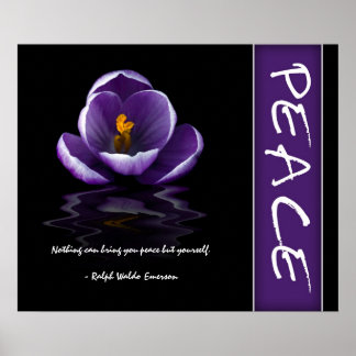 Vrede Inspirerend Poster