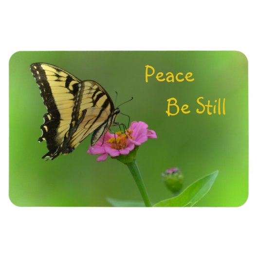 Vrede is nog steeds vlinder magneet (Horizontaal)