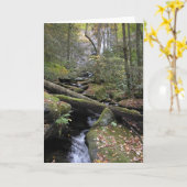 Vrede Kaart (Gele Bloem)