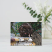 Vrede! Laten we vrienden zijn Briefkaart (Staand voorkant)