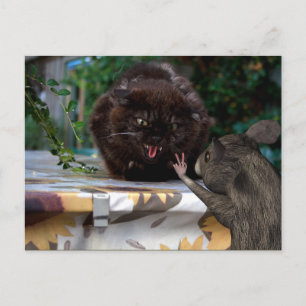 Vrede! Laten we vrienden zijn Briefkaart