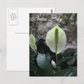 Vrede Lelie #4 Briefkaart (Voorkant / Achterkant)