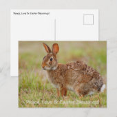 Vrede, liefde en Pasen. Briefkaart (Voorkant / Achterkant)