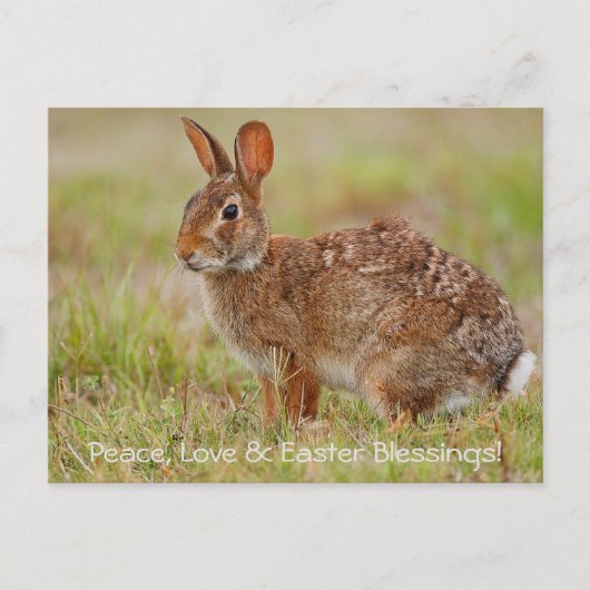 Vrede, liefde en Pasen. Briefkaart (Voorkant)