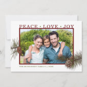 Vrede Liefde Vreugde Denneappel Foto Feestdagenkaart (Voorkant)