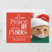 Vrede Liefde Vreugde Spinnen Kat Liefhebber Foto G Feestdagenkaart (Voorkant)