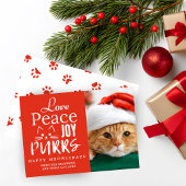 Vrede Liefde Vreugde Spinnen Kat Liefhebber Foto G Feestdagenkaart