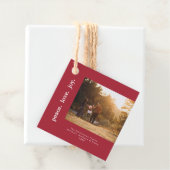 Vrede Liefde Vreugde Vakantie Kerstmis Familie Fot Bedankjes Labels (In situ)