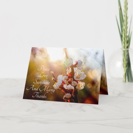 Vrede, liefde, zonneschijn en vele Bedankt (Voorkant)