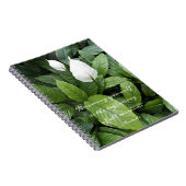 Vrede Lily Aristoteles Filosofische wijsheid citaa Notitieboek (Rechterzijde)