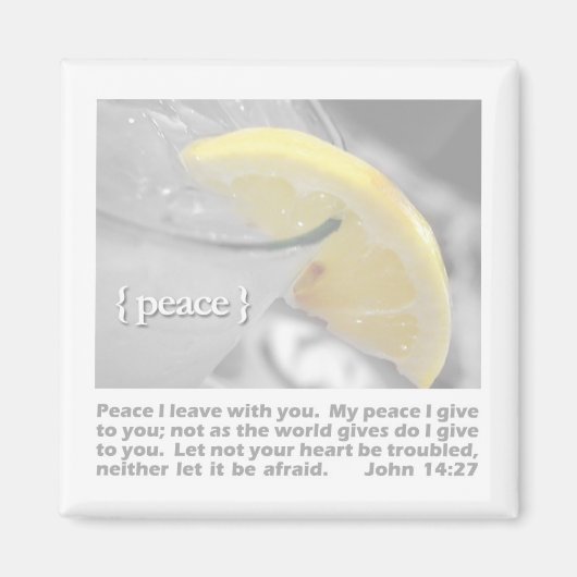 vrede magneet (Voorkant)