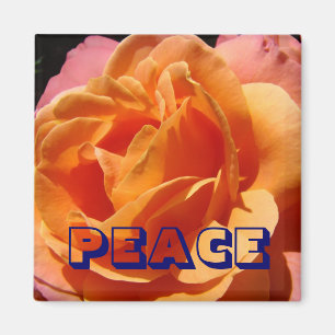 VREDE magneet Oranje Roos Bloem natuur