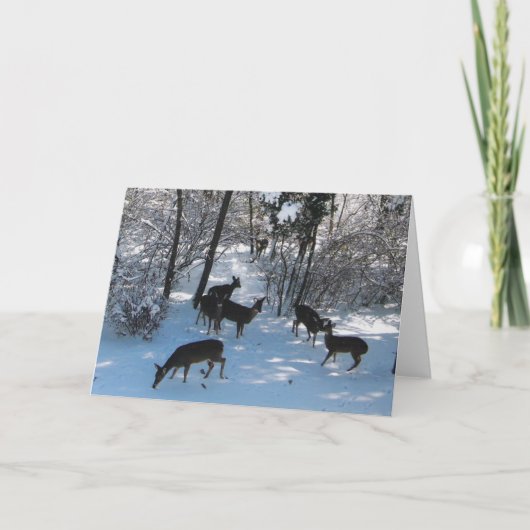 Vrede met Kerstmis Kaart (Voorkant)