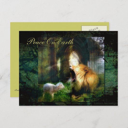 Vrede op aarde briefkaart (Voorkant / Achterkant)