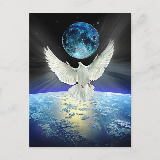 Vrede op aarde Dove of Peace Briefkaart (Voorkant)