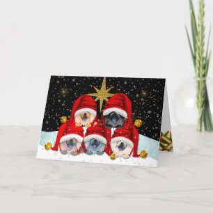 VREDE OP AARDE KARAKTER KAART