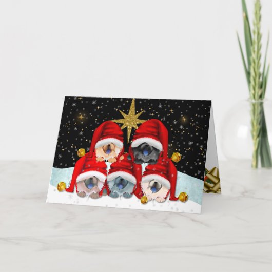 VREDE OP AARDE KARAKTER KAART (Voorkant)