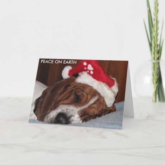 VREDE OP DE KAARTEN VAN DE AARDE (Voorkant)